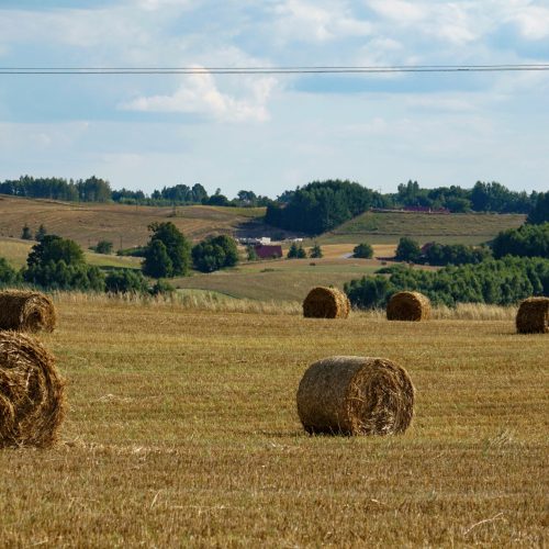 Harvest in the Kashubian countryside.