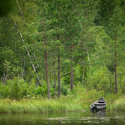 Kashubian lakes are clean and provide the opportunity to cool down during the summer heat. Trzebuń.